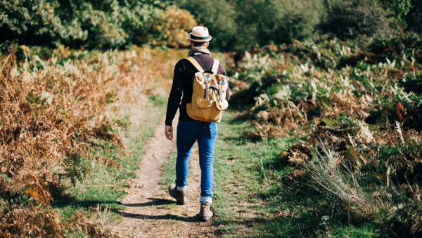 Mann spaziert durch die Natur im Wald – Mental Health  