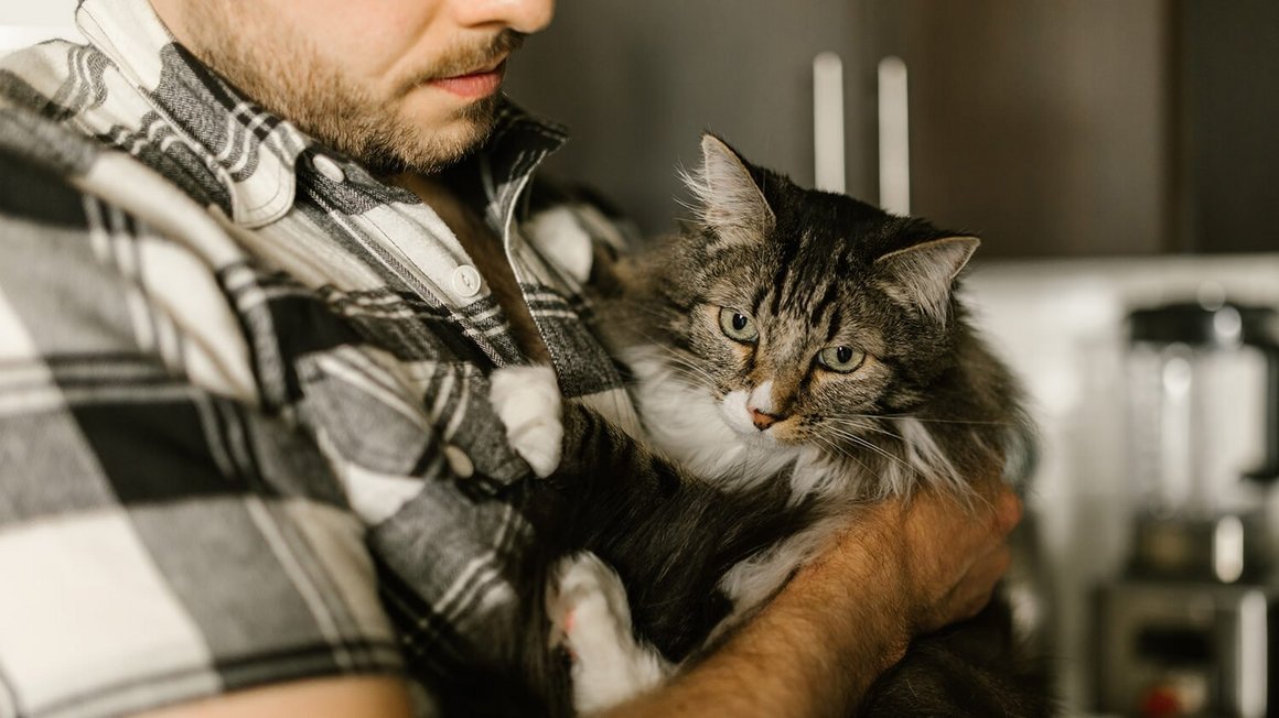 Mann hält eine Katze im Arm - Krankenversicherung für Katzen