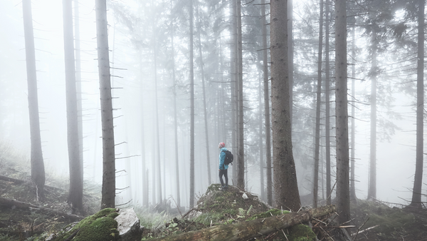 Altervorsorge für Gen Y: Wanderer steht im nebligen Wald